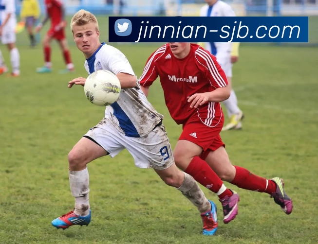 金年会，金年会，金年会官网，金年会官方平台，金年会APP平台生态图